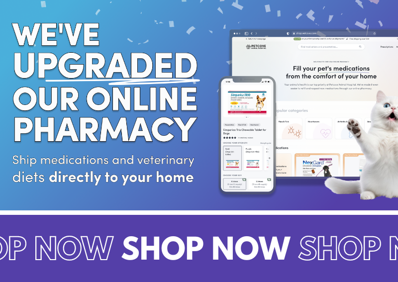 Carousel Slide 3: Central Animal Hospital online pharmacy