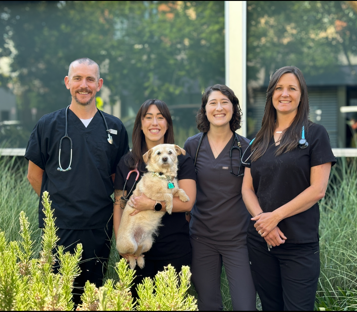 Petaluma Pet Hospital