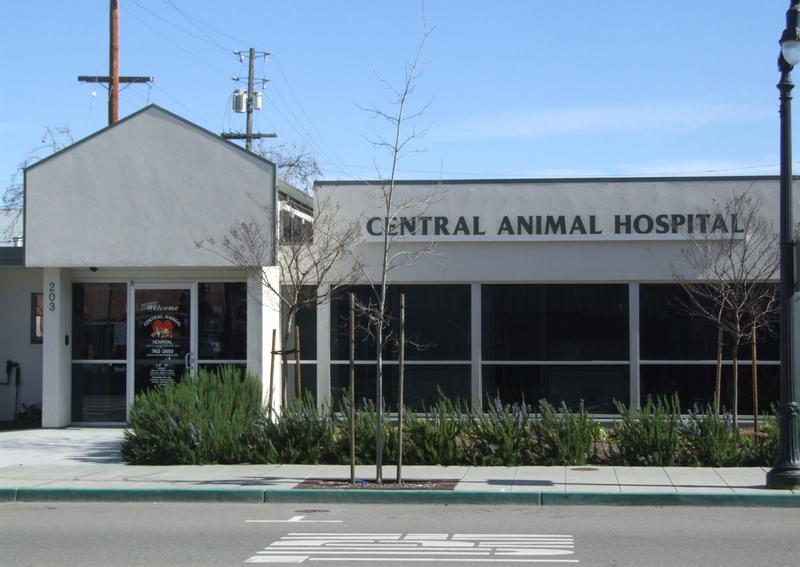 Carousel Slide 8: Contact us